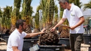 wholesale nursery in spain